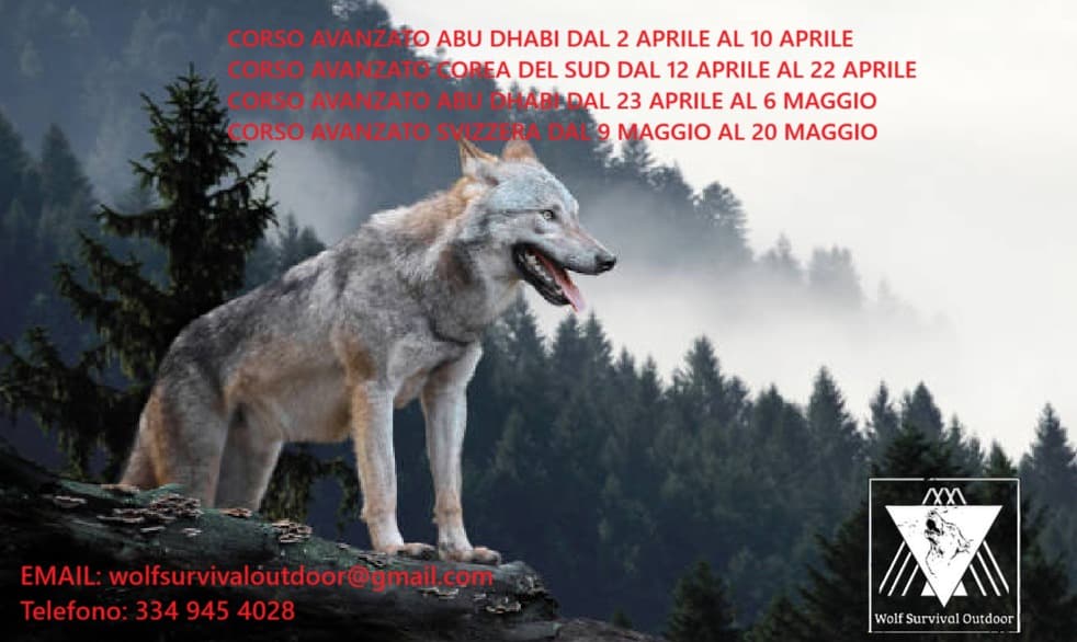 Spedizioni Internazionali